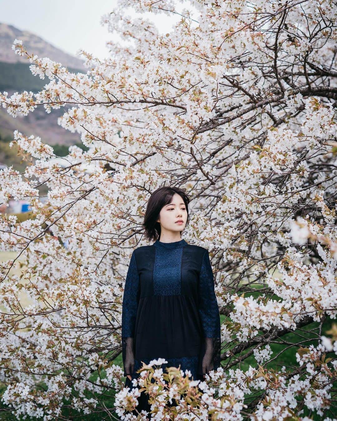 礒部花凜のインスタグラム：「.  photo by 親友 シリーズ ラスト🌼  3枚目は、知る人ぞ知る 「音泉大好き〜」のパンダです(笑)  みんなは何枚目が好き？  . #ポートレート #撮影  #sakura #japan #japantravel」
