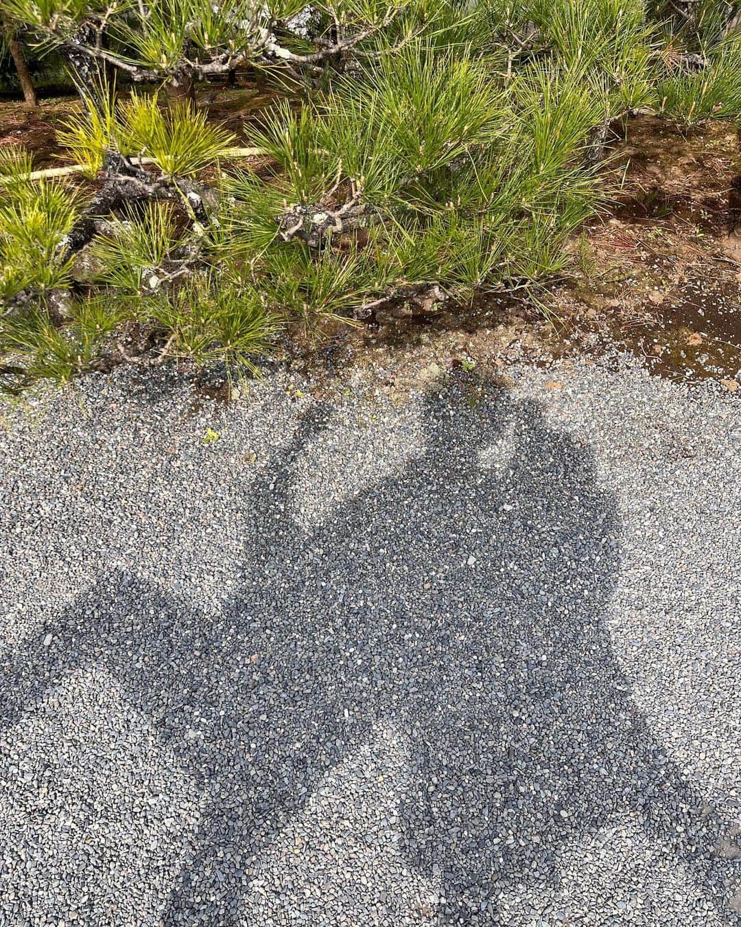 田久保夏鈴さんのインスタグラム写真 - (田久保夏鈴Instagram)「昔から影を撮るのが好きなふたり🫶🏼」4月23日 21時45分 - kar_insta_gram