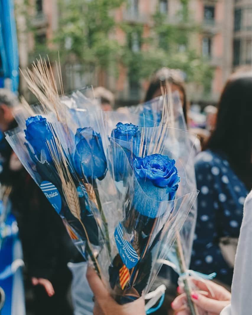 RCDエスパニョールのインスタグラム：「Que tingueu un feliç Sant Jordi, pericos 🌹」