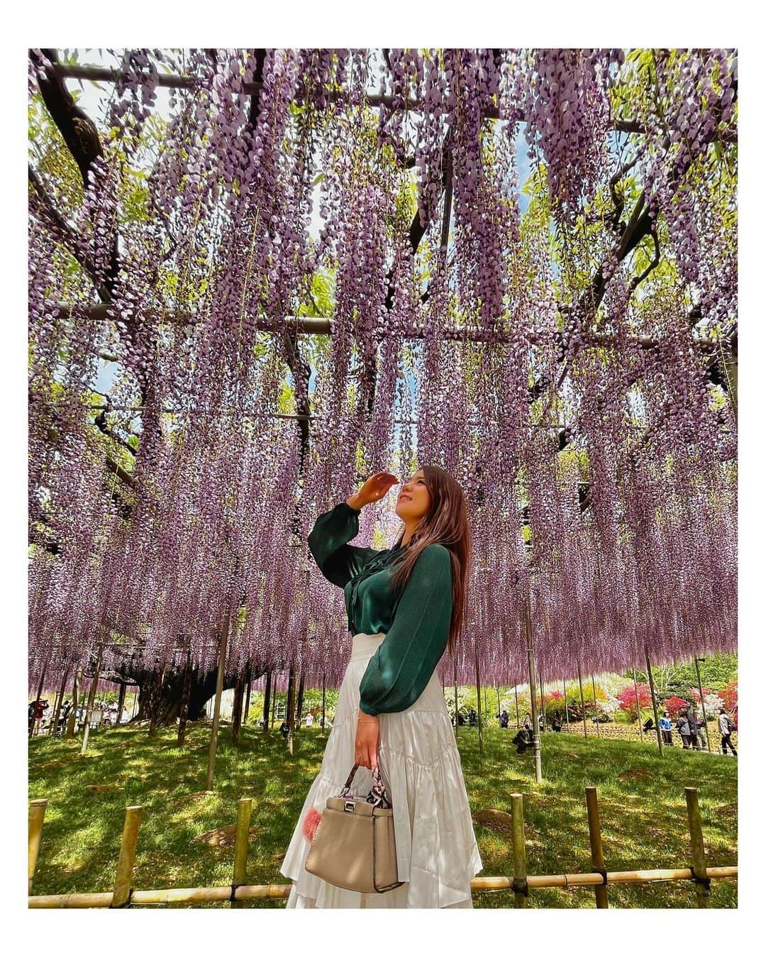 高田汐美さんのインスタグラム写真 - (高田汐美Instagram)「あしかがフラワーパーク💜 @ashikaga_flower_park   藤が満開で香りが降ってきて綺麗でした  上弦の鬼でも絶対近づけないくらい沢山あったよ😌💜安心安心  #あしかがフラワーパーク  #フラワーパーク　#栃木　#ashikagaflowerpark  #flowers #japan #藤　#japan #instagood  #flowerfarm  #flowerfields #花　#花見　#旅行　#spring  #春　#kimetsunoyaiba」4月23日 21時39分 - shiominniee