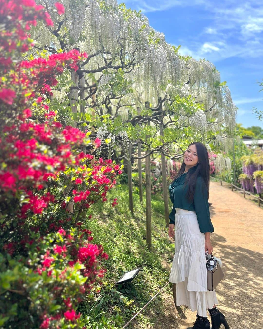 高田汐美さんのインスタグラム写真 - (高田汐美Instagram)「あしかがフラワーパーク💜 @ashikaga_flower_park   藤が満開で香りが降ってきて綺麗でした  上弦の鬼でも絶対近づけないくらい沢山あったよ😌💜安心安心  #あしかがフラワーパーク  #フラワーパーク　#栃木　#ashikagaflowerpark  #flowers #japan #藤　#japan #instagood  #flowerfarm  #flowerfields #花　#花見　#旅行　#spring  #春　#kimetsunoyaiba」4月23日 21時39分 - shiominniee