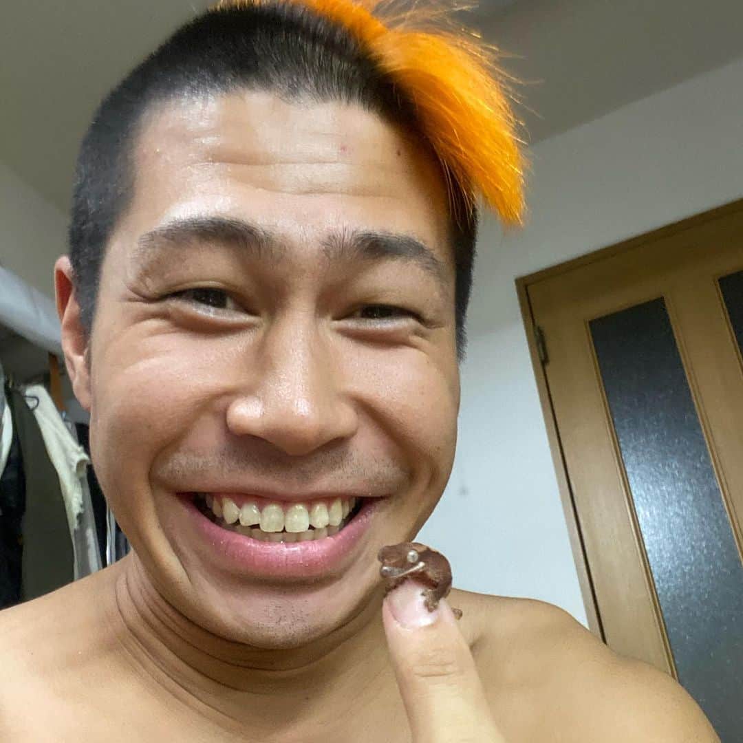 関札皓太さんのインスタグラム写真 - (関札皓太Instagram)「クレステッドゲッコー産まれてた！！！ 2匹ともこんなちっちゃいのに元気で エサも食べてくれてもうにやにやが止まらない😂  #元祖爬虫類レスラー」4月23日 21時50分 - sarufuda