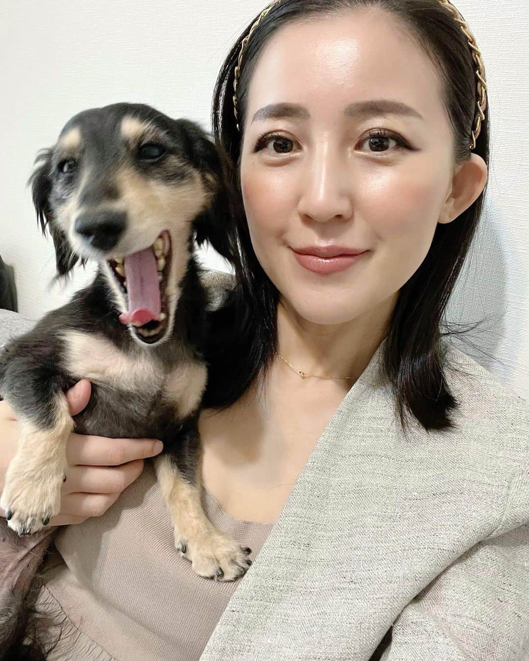 来栖あつこさんのインスタグラム写真 - (来栖あつこInstagram)「🐶😗  結局、2ショットより ムー単体の方が いい写真😅  #ムーちゃん #ムシャ  #dog  #ダックスフンド #dackshund  #犬 #狗 #개 #Hund #cane #chien  #miniaturedachshund  #ミニチュアダックスフンド  #dogstagram  #リス顔 #猫顔 #たぬき顔  #atsukokurusu  #来栖あつこ  #アヒル口」4月23日 22時04分 - atsukokurusu