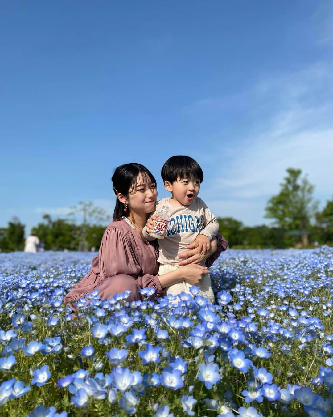 小泉留菜のインスタグラム：「🦋 . . ネモフィラ綺麗だったな〜❤︎ . . 幼稚園でお外遊びはしてるけど、 公園は久しぶりだったからテンション爆上がり🥰👏🏻 陽も暖かくて19時には爆睡👦🏻💪🏻✨ わんこたちも一緒だったから 良いお散歩日和だったなあ🐶 載せたい写真が多すぎて次回にわんこたち載せよっと❤︎ . . #ネモフィラ #公園  #3歳 #3歳男の子 #3歳児 #ママ #男の子ママ #ママスタグラム #25歳ママ #口唇口蓋裂 #関東ママ #埼玉ママ #小さい彼氏 #妊娠 #第二子 #第二子妊娠中 #マタニティ #マタニティライフ #妊娠中 #🤰🏻」