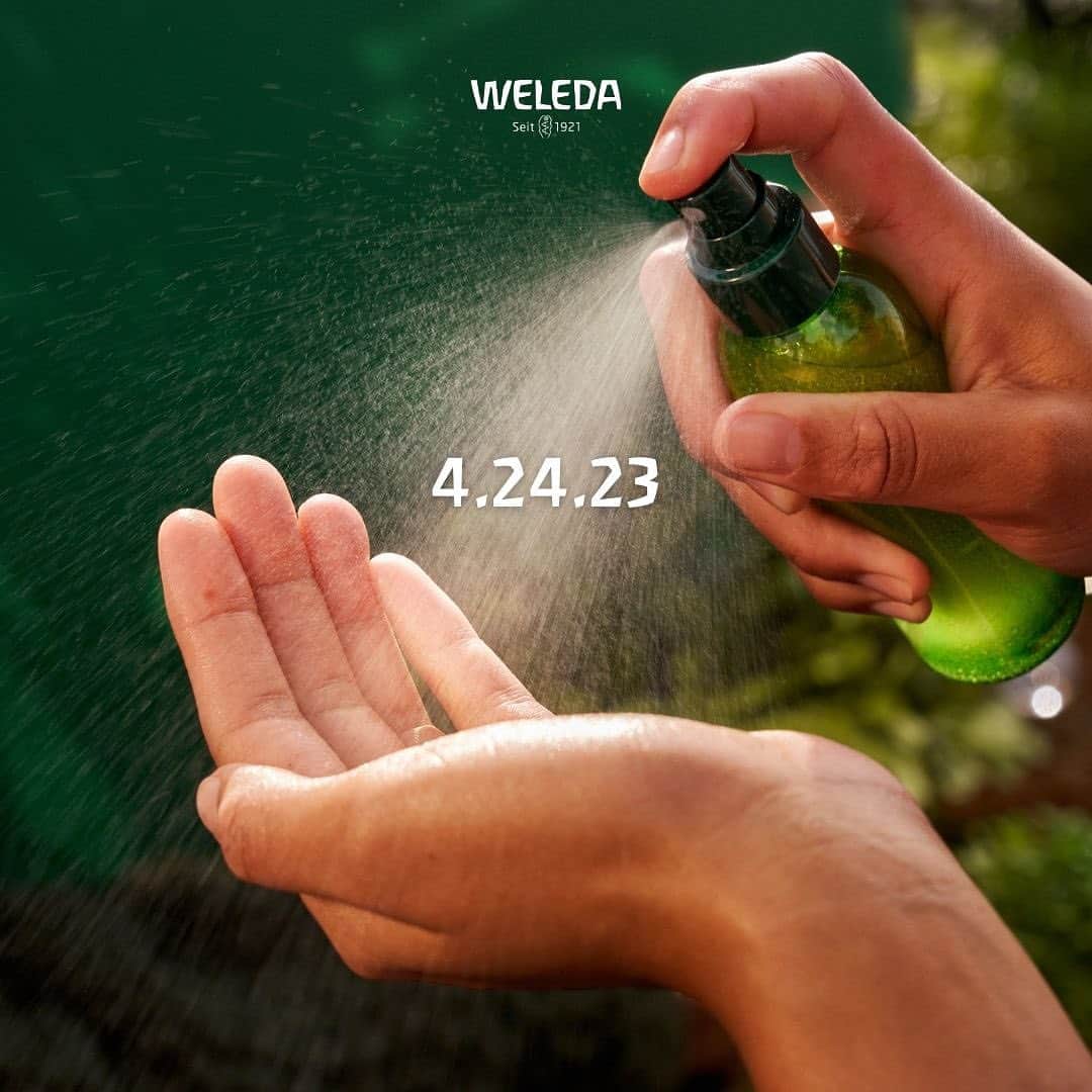 Weledaのインスタグラム：「Something Skin Food is coming SOON and we can't wait to share it with you! 💚✨ Any guesses? Leave a comment below and let us know!   Tap the 🗓 icon to sign up for notifications so you don't miss it! #WeledaSkinFood」