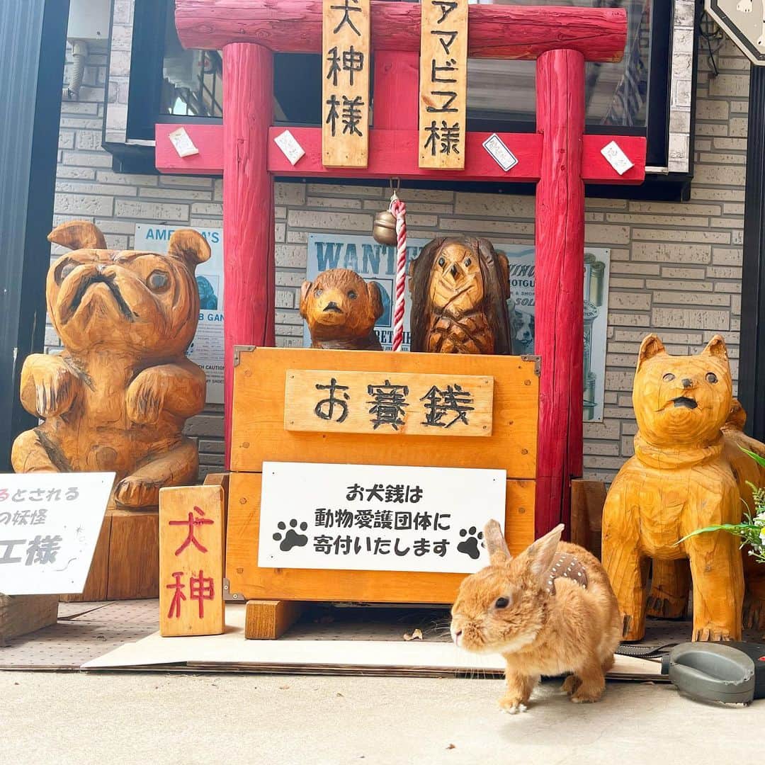 Chieko Shibutaのインスタグラム