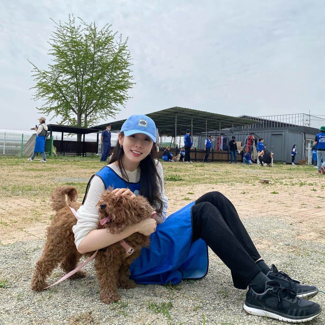 ガヨン さんのインスタグラム写真 - (ガヨン Instagram)「오늘따라 애들한테 사랑을 잔뜩 받고 와서 넘 행복한 날 ☁️  🔸1.2.3 - 푸딩이 : 낯가림 없이 사람도 강아지도 다 좋아하고 사교성도 좋고 잘 먹고 산책도 잘함! 곧 미용할거라 더 예뻐질 예정! 🔸4 - 마늘이, 5.6 - 양파랑 마늘이 : 둘다 사람 너무 좋아하고 ENFP 강아지느낌ㅋㅋ 엄청 밝고 뽀뽀 좋아하는 사랑둥이들! 🔸7 - 달래 : 뒷모습 사진 밖에 없지만 털 색깔이 신비롭게 예쁘고 성격도 너무 좋음! 🔸8 - 여서정 : 지난달에 내가 산책 시킨, 아니 정확히 말하면 나를 산책 시킨 활발하고 멋진 서정이! 나 기억해줘서 고마워🥹 🔸9.10 - 보테 : 2년 전에 내가 산책 시켜줬었는데 날 기억하는지 갑자기 내 품에 와서 한 5분동안 아이컨택해줌 ㅠㅠ 진짜진짜 순하고 착함!  다들 너무 귀여운 사랑둥이들이라 오늘도 에너지 충전하구 왔당 오래오래 보고 싶지만 이왕이면 더 좋은 가족들을 만나서 우리가 못 보는 게 더 좋을거 같다! 건강하고 행복하자 애들아♥️ 이 아이들 외에도 380여마리의 천사들이 있습니다. 하루 빨리 좋은 가족들이 생기길 🙏🏻  이번달도 #안성평강공주보호소 🐶 오늘은 #블루엔젤봉사단 💙 #유기견봉사 #유기견입양 #사지마세요입양하세요」4月23日 22時18分 - gy._.1202