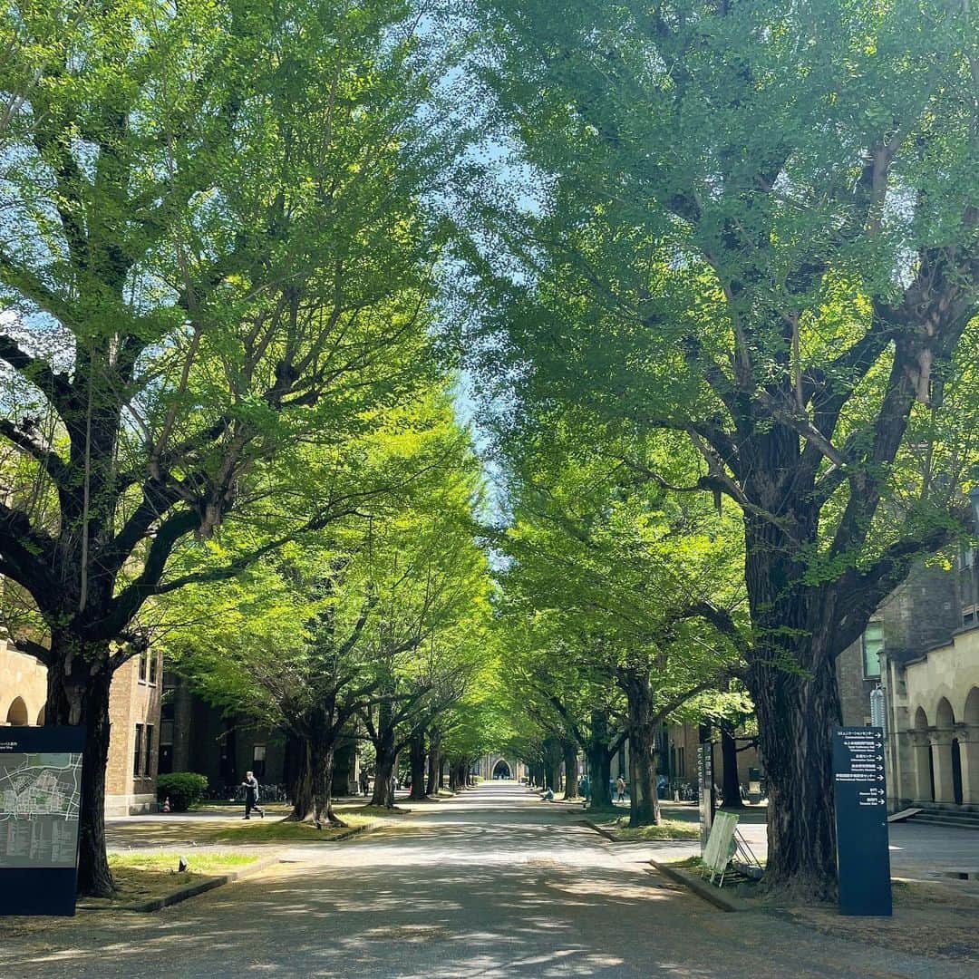 瀧口友里奈さんのインスタグラム写真 - (瀧口友里奈Instagram)「・ 【新年度🌸大学院、近況🙏🏻🍀☺️】 ４月から大学院も新年度。 東大の公共政策大学院の修士2年目を迎えています。  桜の季節はあっと言う間に過ぎてしまい、本郷キャンパスは新緑の美しい生命力に溢れています🌿  現役の学生時代にはなぜ感じられていなかったのか？ キャンパスの自然がくれる癒しとその有り難みが、講義の合間の数分の移動時間にも、ぐんぐんと心に染み渡り、こんなに効率的なリフレッシュは無いんじゃないかと思うくらい効いています😂笑  ところで、少し意外に思われるかもしれませんが、ありがたいことに、私の通う大学院はなかなかdiversityに恵まれた環境で、性別、国籍、年齢問わず、様々な人が集まっています。  それでもやはり周りは大学を卒業して、ストレートで院に通う22,3歳の方が多いので、「1987年生まれだよ」というと「どひゃー」と驚かれたり。笑  「うんうん、35歳って意外とこんなもんだよ。私も昔は35歳になる頃にはもっと立派な大人になってると思ってたのよ🥹✌️」と、心の中でつぶやきながら😂笑、可愛い新鮮なリアクションが嬉しく、みんなが「たっきー」って呼んでくれると、ほっこりします☺️  せっかくのありがたい環境なので、留学生がほとんどの英語の講義も色々受講しています。 写真2枚目は、Macro economicsの講義のグループワークをモンゴルからの留学生のお二人とご一緒しているところ。  二人ともお肌モチモチで艶々。 モンゴルは美肌の国なのか？！と、n=2で尚早にも判断しそうになっています。笑  と、外見もさることながら、三人のお子さんを育てながら留学しているというパワフル話を聞いてびっくり！  社会人向けのカリキュラムはなく、完全に現役生と同じ条件で学ぶ大学院なので、正直、仕事との両立の大変さに度々泣きそうにはなりますが、性別、国籍、年齢問わず、フラットに学べる環境に身を置けていて幸せです。  そして、理解し支えてくださっている、職場の皆さま、大学院の先生方・友人たち、家族に心から感謝です🙇‍♀️ 本当にありがとうございます。  気が付けば、あまり写真を撮る機会はなかったのですが、この一年で撮った写真を記念に載せておきます📸  昨年のGWは、同期のメンバーとBBQ。楽しかったです。  お仕事の投稿も溜まりに溜まってしまっているので、更新していければと思いますので、またぜひお付き合いください〜🙏🏻🌸」4月23日 22時26分 - yurinatakiguchi