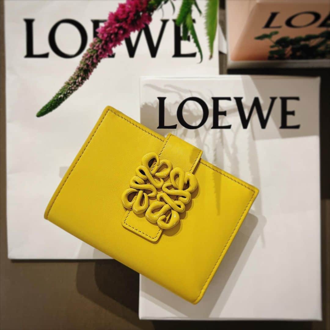 松尾幸実のインスタグラム：「new wallet ❤️  #loewe」