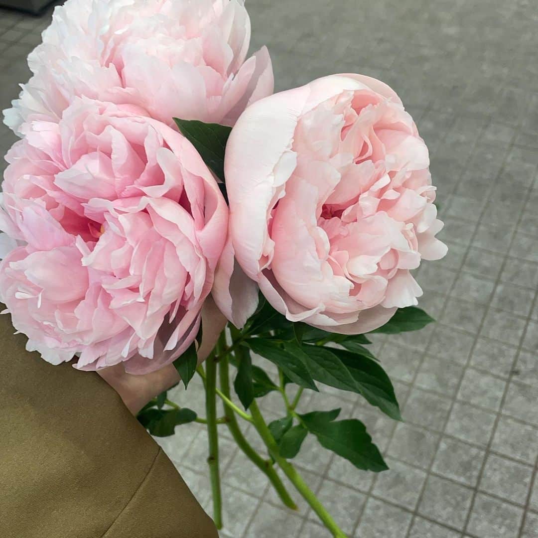 かなこさんのインスタグラム写真 - (かなこInstagram)「ピオニー🌷  結婚式で持ちたかったお花。 季節的に持てなかった🥹」4月23日 23時04分 - kanako228m