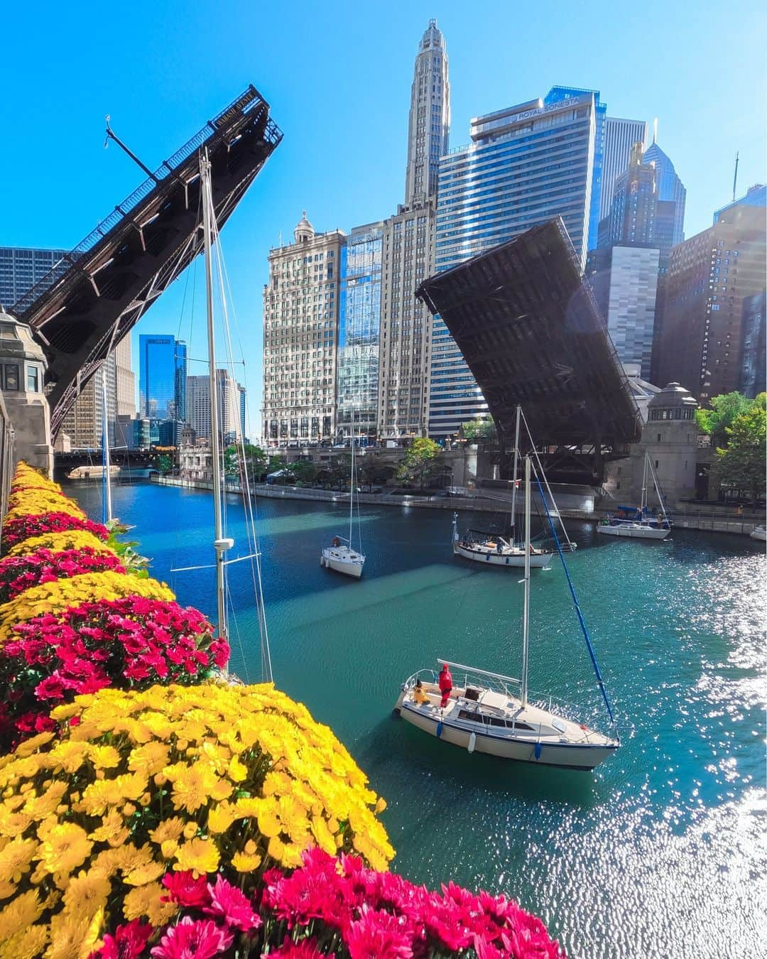 goproさんのインスタグラム写真 - (goproInstagram)「Photo of the Day: Spring has sprung in the windy city 🏙 Snapped by @filoricanadventures.  #GoPro #GoProTravel #Chicago #WIndyCity #Spring #Travel」4月24日 4時30分 - gopro