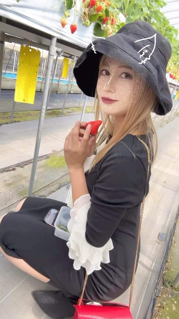 葉月るいのインスタグラム：「イチゴガリ  #コンドウ農園」