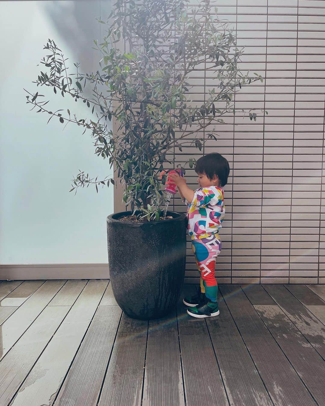 SEIRAのインスタグラム：「 ︎︎ 2歳9ヶ月の息子がモンテッソーリを通して、 家庭でできるお仕事🪴🌈」