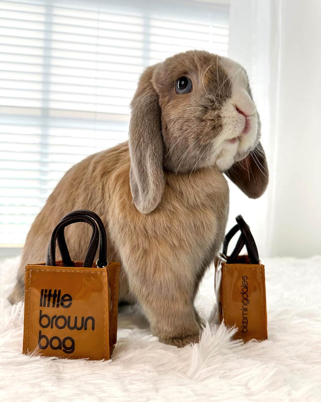 Bloomingdale'sのインスタグラム：「Some-bunny’s been to Bloomingdale’s 🐰 @stayathomebun」