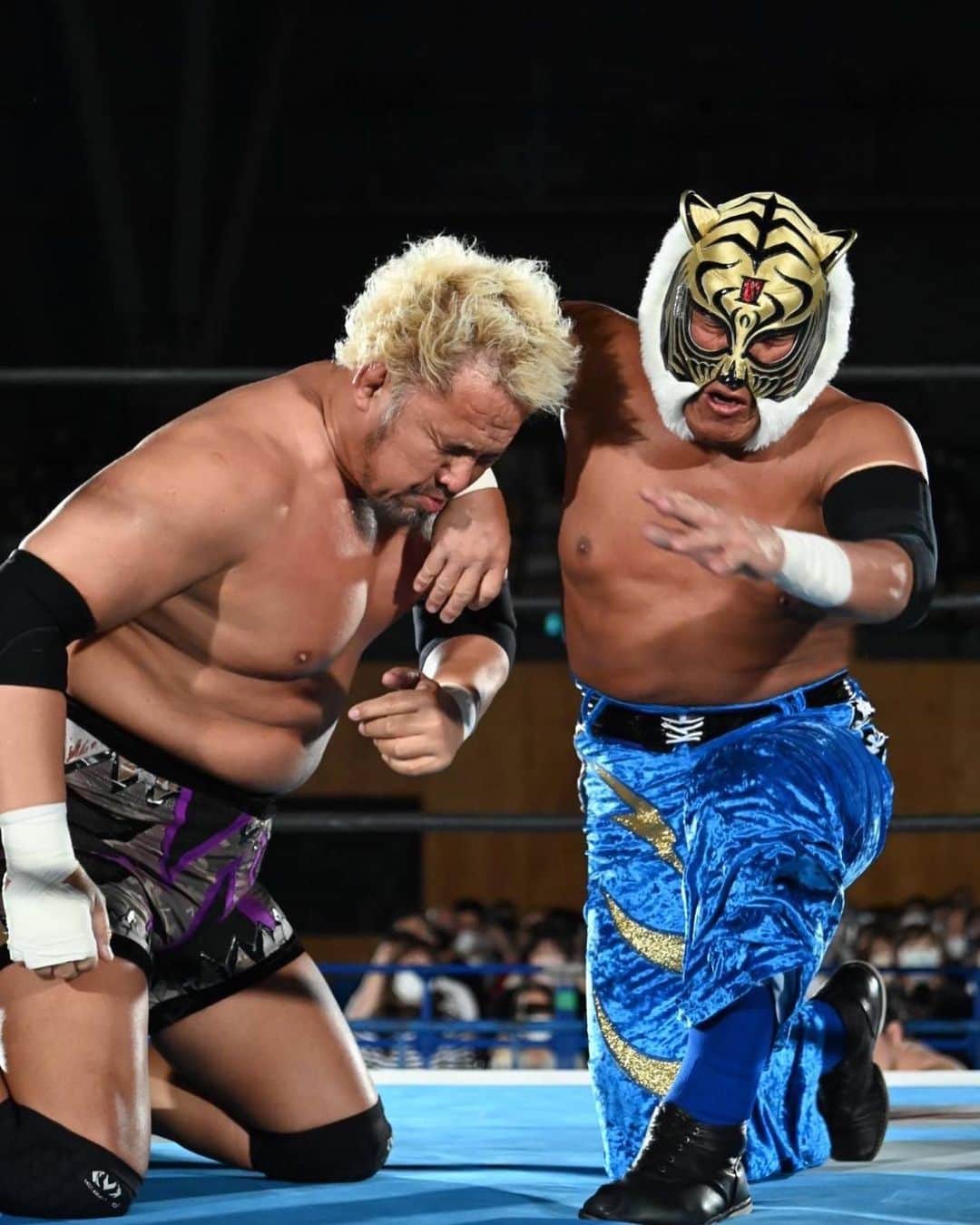 タイガーマスクのインスタグラム