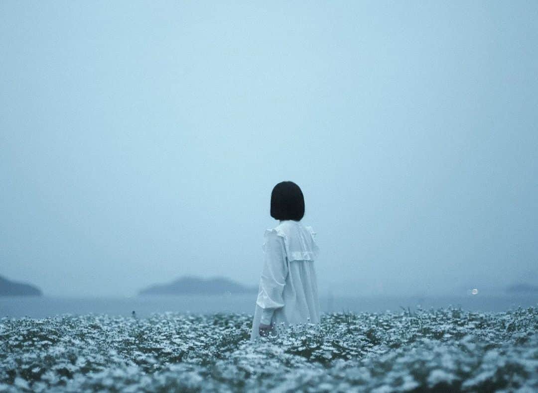 岩倉しおりさんのインスタグラム写真 - (岩倉しおりInstagram)「白い花。」4月24日 0時18分 - iwakurashiori