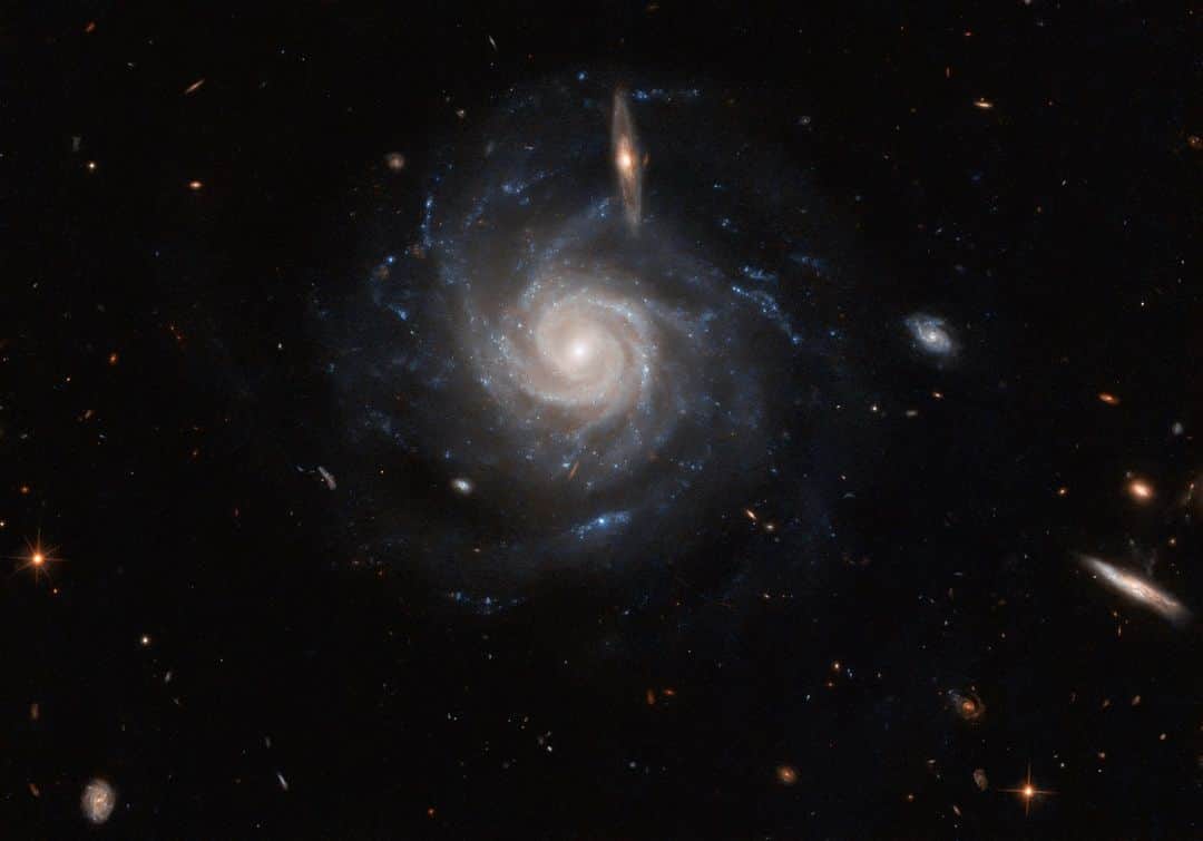NASAさんのインスタグラム写真 - (NASAInstagram)「The stars are taking center stage! 🌟  This barred spiral galaxy, UGC 678, is about 260 million light-years from Earth in the Pisces constellation.   Barred spiral galaxies have a bar-shaped structure that extends from one side of the galaxy to the other. These form when orbits of stars at the center of the galaxy become unstable and stretch. As their orbit lengthens, a bar is created.   UGC 678’s bar is faint, but it’s visible diagonally from the lower left (7 o’clock) to the upper right (1 o’clock).   Image Description:  A large spiral galaxy. It has many narrow arms that are tightly-twisted in the center, but at the ends they point out in different directions. The galaxy’s core glows brightly, while its disc is mostly faint, but with bright blue spots throughout the arms. A few smaller spiral galaxies at varying angles are visible in front, and it is surrounded by other tiny stars and galaxies, on a black background. #Space #NASA #Hubble #Galaxy #Universe #Stars」4月24日 0時26分 - nasagoddard