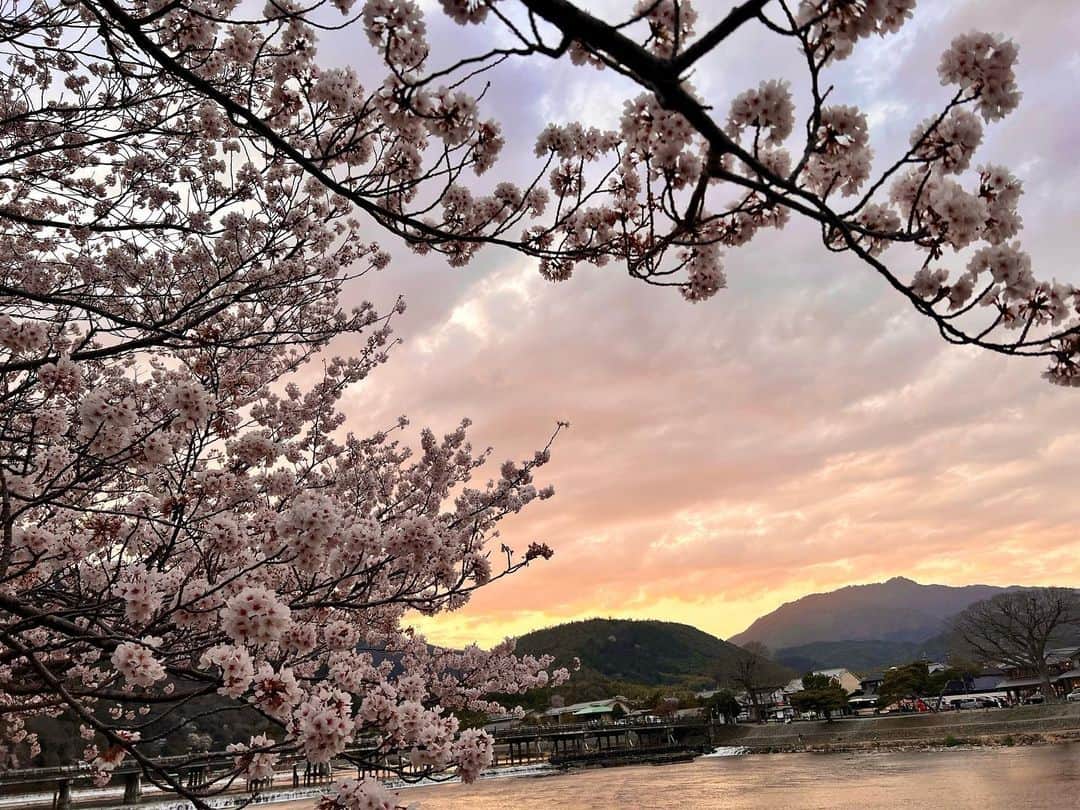 肥田佳菜子のインスタグラム：「京都大阪旅行🌸 #京都 #大阪 #旅行 #京都旅行 #大阪旅行 #嵐山 #お花見 #桜 #桜スイーツ #w大阪 #wosaka #W大阪ホテル」