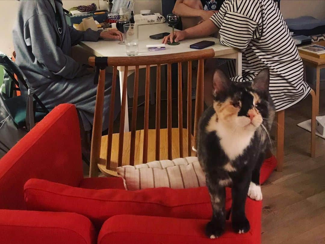 ソン・スヒョンのインスタグラム：「나는 어엿한 삼삼이💁 #삼삼이」