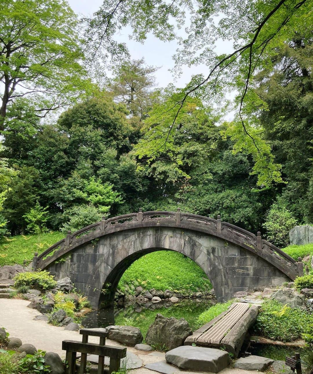 野村真季さんのインスタグラム写真 - (野村真季Instagram)「休みの月曜日、今日は朝から小石川後楽園へ  国や都の文化財に指定され、水戸黄門ゆかりの名園として名高い庭園。 藤のこの季節に訪れたのは初めてか。 肝心の藤は盛りを過ぎて色褪せ気味だったけれど、庭園の整然とした品格ある雰囲気に圧倒される。 美しさの中に身を置く喜びに包まれて、感受性が潤いを得る。  1枚目…「唐門」前の蓮が生い茂る内庭 2・3枚目…花をつける前の菖蒲田越しの藤棚 4枚目とばして、 5枚目…「円月橋」 6枚目…鴨たちのお散歩。園内では鴨ちたも優雅にお散歩している。人慣れしているのか、人がいても怖がることなくマイペース。てくてくとした歩みが可愛さ増し増し。 7枚目…庭園の中心「大泉水」。右奥には蓬莱島。水面には逆さ富士ならぬ逆さビル。都心である現実が映り込む。  写真にはないけれど、 すぐ隣には東京ドームがあり、木々の奥に白くて丸い屋根がのぞく。  たっぷり2周歩いて、駅前のコーヒーチェーン店へ。 飯田橋・水道橋近辺なら雰囲気あるお店も多かろうと思いながらも、私自身、こういうチェーン店の空間の匿名性というのか、主張のない内装、画一的な接客、客同士の無関心さ、これらがむしろ居心地良く、今も買ったばかりの折りたたみキーボードでかちゃかちゃと思いつくままに書いている。  心動かしたあとに、心動かさない、という振り子のようにバランスを無意識に取っているのも、なんか自分らしいのだ。 （気分が乗ればすぐ近くのスパに行けたのに） 刺激が過度にならないようにONになったらOFFにする。かといってOFFが長いと苦しくなってしまうから、思いついたように動き出しON、そんな行ったり来たり。  こういう「なんとはなし」の時間を過ごすことで、整ってくるのも経験則。 さて、1日の後半戦に向かって帰るとしますか。  #小石川後楽園」4月24日 13時38分 - masaki__nomura