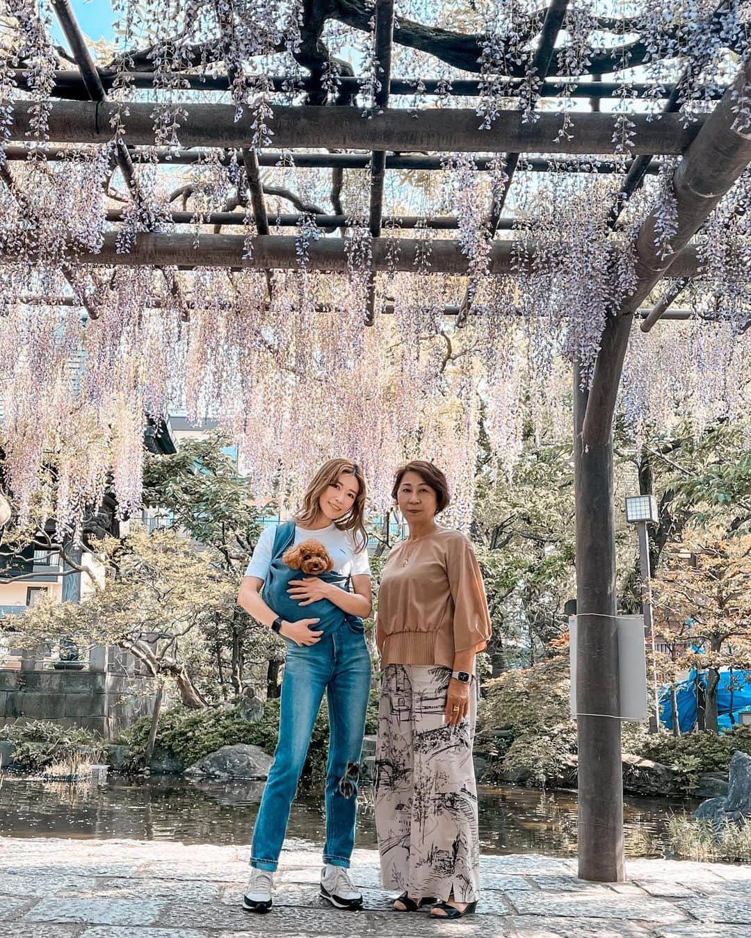 のインスタグラム：「母が5.6年振りに東京に来ていました🤍  私のスタジオも私の今の家も妹家族の家も全部初めて！  あっという間だったけど楽しかった✨　  コロナ前には当たり前に出来ていた事がずっと出来なくて、最近やっと少しずつ出来始めたのは嬉しい✨  仕事と電車、病院や人が多い場所以外でマスクもほとんど付けなくなったし✨  母が昨日宮崎に帰り、私は夏にLAやサンディエゴに行く予定にしていて、帰国したら直ぐに友人の結婚式で韓国に一人旅の為、昨夜は飛行機とか行き方とか色々と調べていたんだけど、韓国の土地勘無さ過ぎて韓国語分からなすぎて難しいw🫠  ま、でもこんな事絶対出来なかったからそんな行動すら新鮮でした✨  さて、今日からまた月曜日がスタート✊  また東京寒くなったけど身体に気をつけて頑張ってこ✨  #母と娘 #東京観光 #mom #toypoodle #doglover #family #trip #vacation #旅再開 #犬のいる暮らし #愛犬家 #トイプードル」