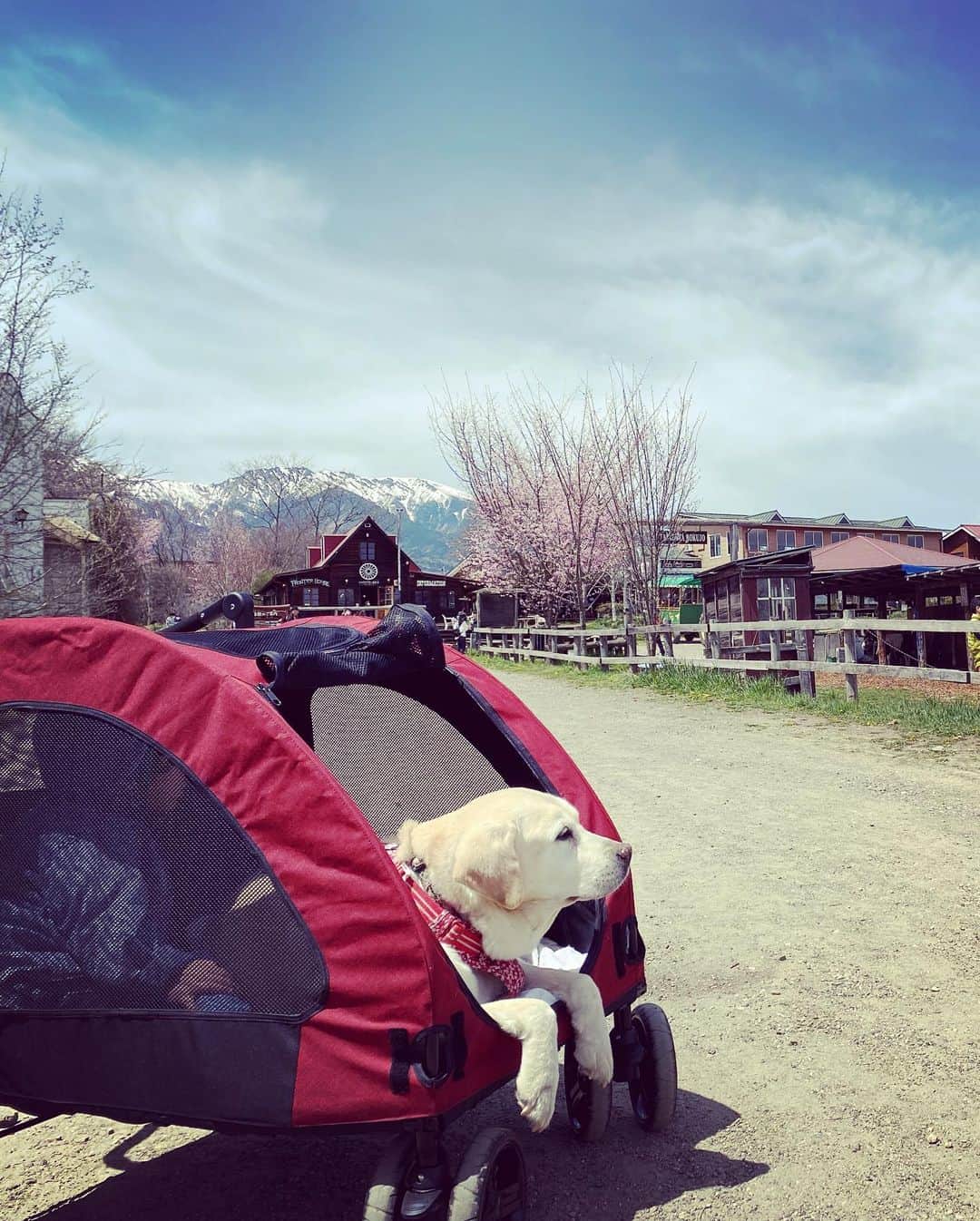 滝川クリステルのグルメインスタ