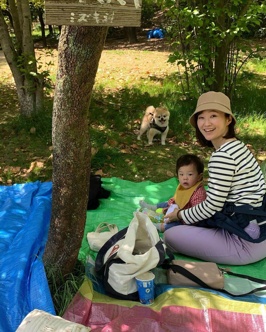 北川まみさんのインスタグラム写真 - (北川まみInstagram)「お天気の良い日☀️ 暑くなってくる前にみんなでピクニックに行きました💕 新緑がすごくキレイで、木陰は涼しくて気持ちよかったー✨ 👶にも🐶にも、それぞれお弁当つくって😍 最近👶は３回食となり、手掴み食べの練習中👏サンドイッチも少しずつ上手に食べられるようになってきました☺️ 自分で食べたい！という気持ちが出てきてて感動する😭👏 もう家中よちよち歩いて回るし、そろそろファーストシューズを買わなければ…👟一緒にお散歩出来る日がめちゃくちゃ楽しみ🥺 最近特にママ、ママとくっついて甘えてくれるので、ほとんど抱きしめ合いながら過ごしています🤣  来月には初節句🎏、翌月にはもう一歳のお誕生日😳子供の成長って早すぎる！ 寂しい気もするけど、もうすぐ一緒にキャンプしたり、旅行行ったり、おいしいものを一緒に食べたり…出来ることが増えてくると思うと楽しみすぎてニヤけます🤤 せめてこの子が物心つく前に、体型を戻したい…😇笑  #赤ちゃんと犬 #生後10ヶ月 #0歳児育児 #男の子ママ #ピクニックランチ」4月24日 13時09分 - mk0323