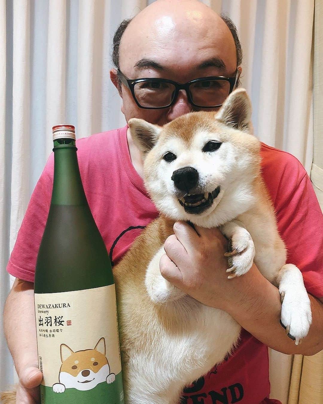 のインスタグラム：「☆ ご報告です。 我が家の愛犬しばたくん、 本日明け方に 16歳10ヶ月の犬生を 全うしました。  昨日から お水も流動食も取れなくなって いましたが、 安らかな顔で眠りに ついております。  皆様、 名倉家のアイドル しばたくんを愛して頂き ありがとうございました。  #虹の橋　#写真は全て過去のものです」