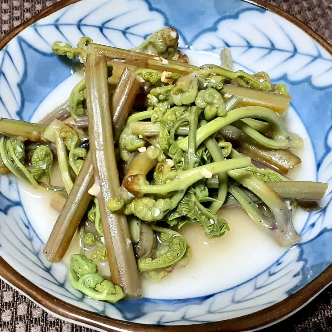 ハンディやしきさんのインスタグラム写真 - (ハンディやしきInstagram)「毎日野菜生活 #わらび　収穫🎶  今季初わらび！ 灰であく抜きして、酢味噌(麹みそ、酢、砂糖)和えていただきまぁ～す！  ほどよい食感と山菜特有のちょっとした滑りがいいですよね✨ 旬をいたたける幸せ。  #おうちご飯 #田舎料理 #家庭菜園  #野菜生活  #旬を味わう #里山  #グルメ #田舎暮らし #自給自足 #山菜  #わらび #初夏 #新緑の季節 #清涼感 #stiilgood  #規格外野菜 #フードロス  #sdgs  #ファッション  #foodphotography #whatiwore #fashionista #outfitoftheday #instadaily #instagood #style #fashion   https://still-good.shop https://tk-studio.jp/」4月24日 7時16分 - handyyashiki