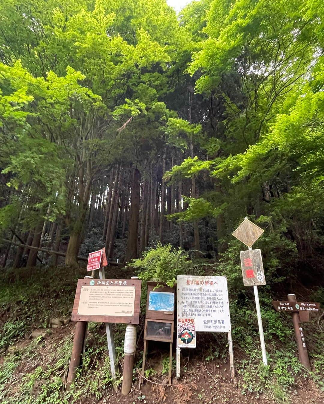 アヤメさんのインスタグラム写真 - (アヤメInstagram)「Sunday Soba ride🚴🏻‍♀️⛰ #inspiration 蕎麦の為に154km2100m↑up✨🥹  #石庄庵  #オギノパン #ヤビツ峠 #裏ヤビツ #半原越 #ヒルクライム練習 #ロードバイク #自転車遊び #丹沢 #trekdomanesl6 #cyclinglife #roadbike」4月24日 7時25分 - ayame_socks