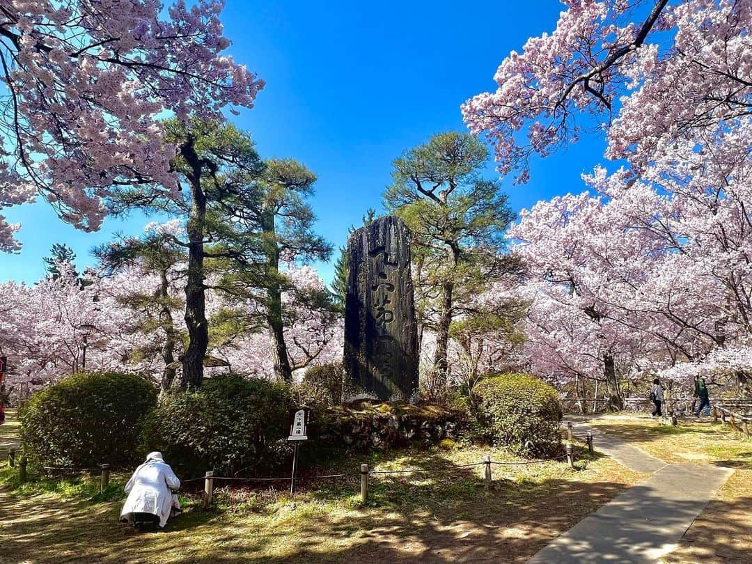 高田有紗のインスタグラム：「高遠城址公園の桜は、明治時代に旧高遠藩士が桜を移植して公園としての整備をしたことが始まり。  お城としての歴史は戦国時代まで遡るそうです。  天下第一桜と書かれた石碑があるのですが、、その名に相応しい、本当に見事な桜でした(৹ᵒ̴̶̷᷄ ᵒ̴̶̷᷅৹)  タカトオコヒガンサクラという固有種は、ソメイヨシノに比べて、少し小ぶりで赤みが強いそうです。  見応えあります🥰  お城なので、お堀があって、鳥のさえずりが響きます。  内堀の散歩をしたり、外堀のすぐ上の道は穴場で、シートを敷いてごろごろされてるのが気持ちよさそうでした🥰  #お花見 #桜 #長野 #高遠 #伊那市 #長野大好き #デートスポット  #穴場 #絶景 #インスタ映え #桜スポット #日本さくらの会 #さくらの名所100選  #タカトオコヒガンザクラ #天下第一の桜 #六堤  #浮島 #日本三大桜の名所 #桜絨毯 #japansakura #sakura #japan #japantravel #japanculture #japanphoto #artstagram  #beautifulview」