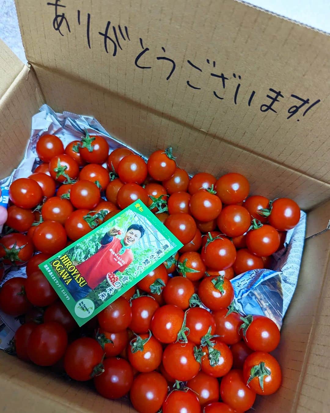 Hiromi Tomiiさんのインスタグラム写真 - (Hiromi TomiiInstagram)「トマトのお取り寄せをしたよー😊😊 . 味が濃くて、皮が薄くてあまーいミニトマト😊♥ . 栽培過程で鰹節・昆布・干し椎茸から取った出汁と温泉を与えているんだって😊 . 愛知県田原市の『渥美半島たはらブランド』の認定や、『にっぽんの宝物JAPAN大会』にてうちのミニトマトを使った加工品が肉海産物調理加工部門→グランプリ（2021年）、肉加工部門→準グランプリ（2022年）を受賞し、ミニトマトとしては最強素材部門→特別賞（2021年）を受賞している優秀なトマト🍅 . 新聞やテレビに40回以上出演している変わった農家で、王子認定協会より『トマト王子』として認定されているそう😊 TBSの『SASUKE』にも出場したことがあるマッスルな生産者さん😊 . なんと5月25日まで先着100名様に10％offのクーポンコードをプレゼント！！クーポンコード『minitomato』だよー😊 . . PR @atsumichantomato #渥美半島とまとランド #オンライン販売 #美味しい野菜 #トマト美味しい #トマト料理 #お取り寄せ野菜#トマト#ミニトマト#🍅 . #春コーデ　#スカートコーデ　#旅行コーデ #yoga#筋トレ#ダイエット#ボディーメイク #筋トレ女子#ダイエット仲間募集　 #京都　#kyoto  #kyotojapan　 #京都散歩」4月24日 7時47分 - hiromi.tomii