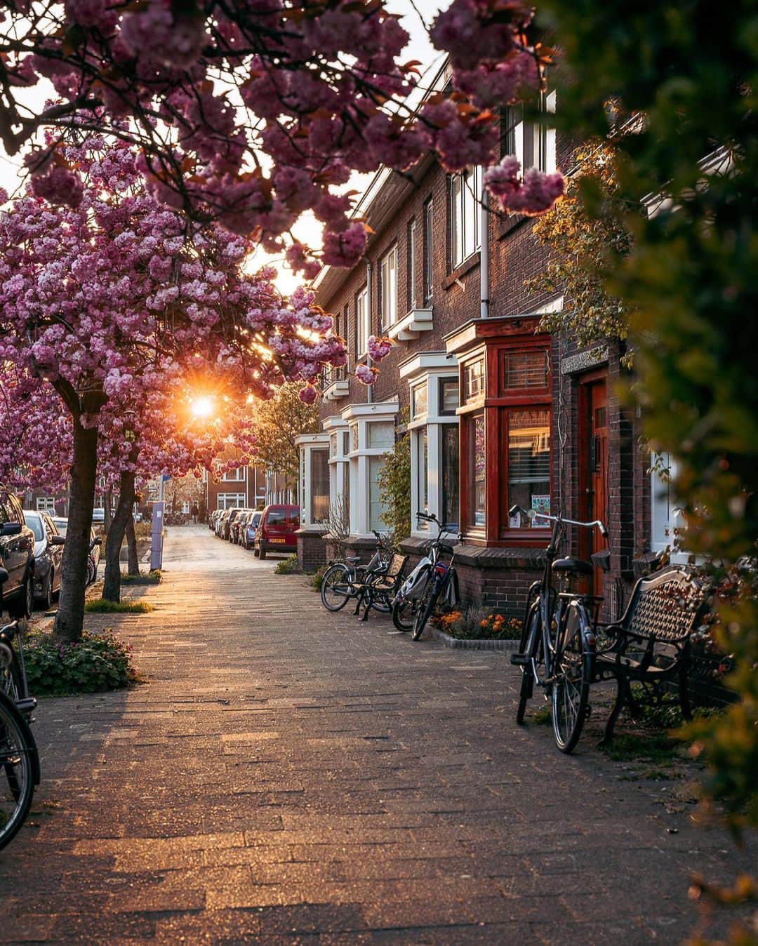 PicLab™ Sayingsさんのインスタグラム写真 - (PicLab™ SayingsInstagram)「Spring has sprung in the Netherlands. 🇳🇱🌸 Tag someone you want to take a sunset bike ride with here.  📸 @utrechtalive」4月24日 8時07分 - paradise