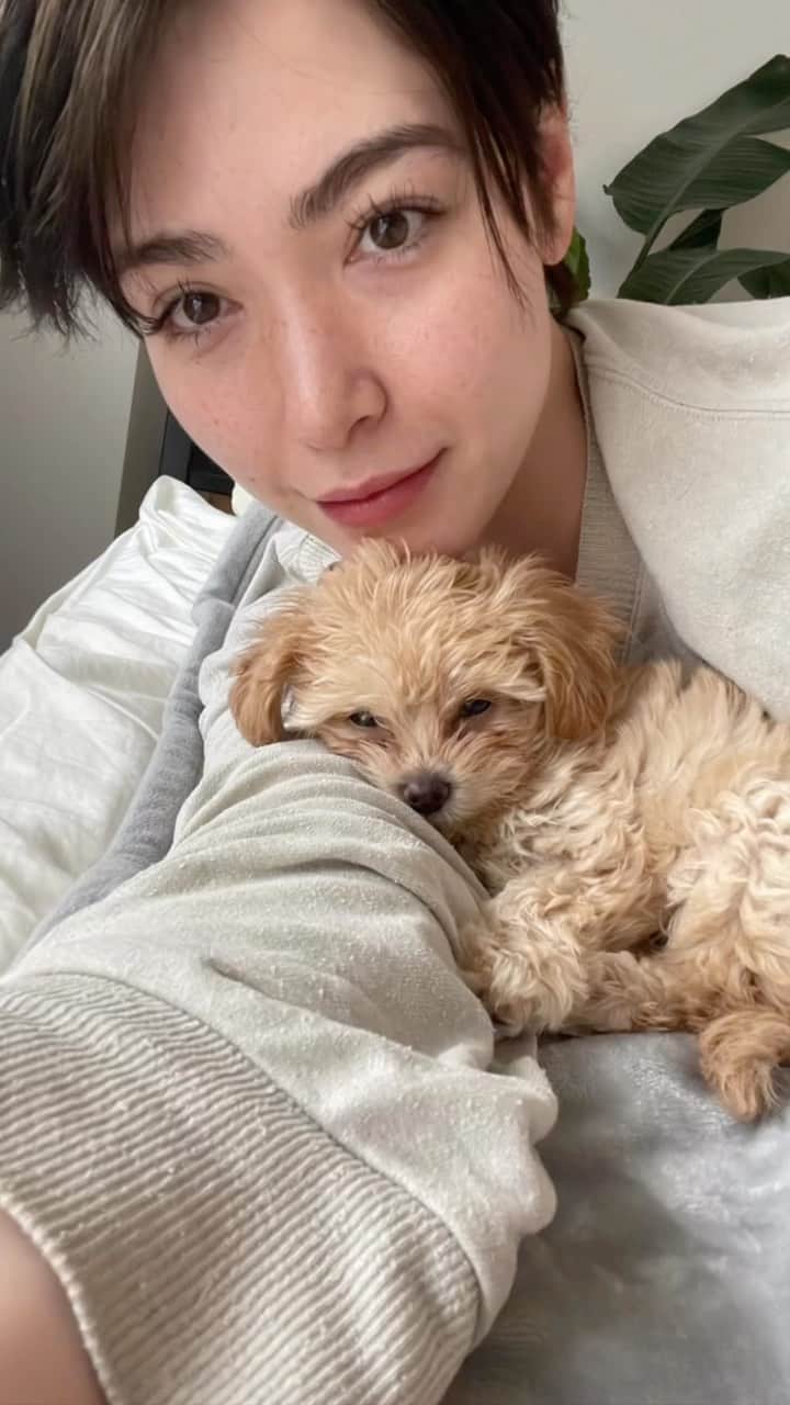 のインスタグラム：「Happy Sun day 🌞🐶  朝ご飯を食べたら眠くなります🐶🙏  #チワプー」