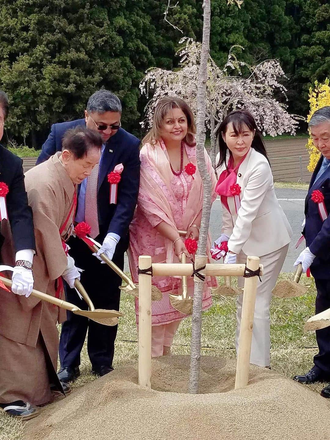 森まさこさんのインスタグラム写真 - (森まさこInstagram)「さくらの記念植樹祭が、5年ぶりに行われました。日本の国花である桜により国際親善が行われてきました。  今年は20カ国目となるインド大使夫妻を招いて盛大に行われました。  インドはグローバルサウスの盟主であり、G20議長国です。G7議長国である日本とともに、世界情勢の激変の中で重要な役目を担っています。人口が中国を抜いて世界一になると言われており、その影響力は大変大きく、岸田総理もインドへ行きましたが、私の担当するフェミニスト外交・ジェンダー外交の一環としても最重要国と目しています。  私は先月、インド大使館で開催された花見パーティーにも出席してまいりました。」4月24日 13時51分 - mori_masako_