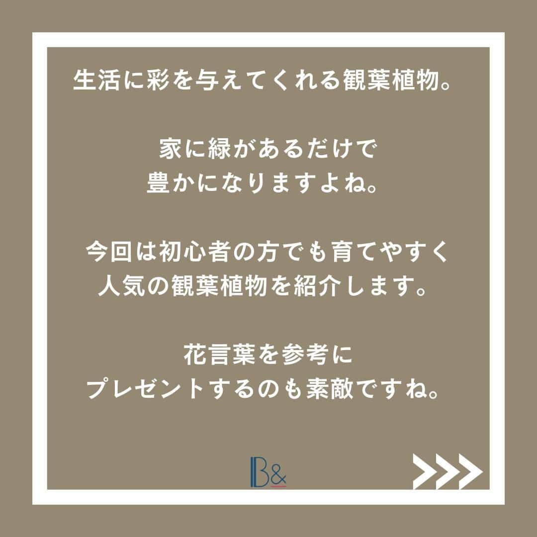 1分間でできる簡単宅トレさんのインスタグラム写真 - (1分間でできる簡単宅トレInstagram)「人生を豊かにする観葉植物と花言葉🌱  みなさんのお家に観葉植物はありますか？ 家に緑があることですごく気持ちが優しくなったり癒し効果があります。  まだ観葉植物をく変え入れたことがないあなたへ 育てやすくて人気の観葉植物と花言葉をお届け🌸  是非参考にしてみてください！  #スポーツ女子 #スポーツ #女子 #女子アスリート #スポーツ #スポーツ女子 #アスリート #女子アスリート #観葉植物 #人気 #おすすめ #人生 #癒し #緑 #観葉植物のある暮らし #豊かな暮らし #パキラ #フィカスウンベラータ #モンステラ #ガジュマル #水やり #日光 #育て方 #植物 #花言葉 #プレゼント #ビーアンド #B&」4月24日 9時00分 - b_and_official