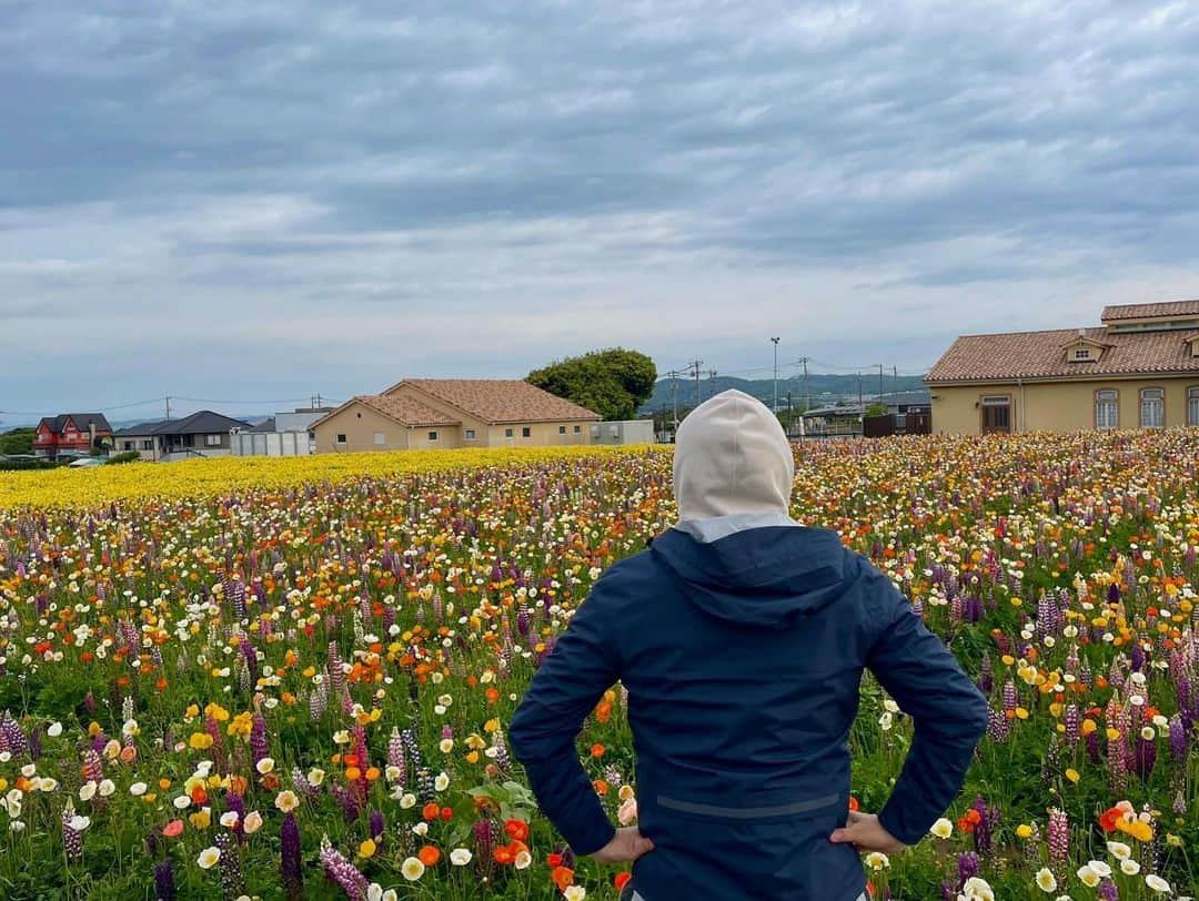 依田司さんのインスタグラム写真 - (依田司Instagram)「4月24日（月） 今月の14日にリニューアルオープンした神奈川県横須賀市「長井海の手公園 ソレイユの丘」から、面積が2倍になったお花畑をご紹介。 現在、ネモフィラやルピナス、ヒナギク、ポピーが見ごろを迎えています。 また新しく出来た「アスレチックタワー」からの景色は絶景。タワーからスタートする300mのジップラインは、迫力満点です。名物のたい焼きや大判焼きは、もちもちした食感で子供達にも大人気だとか。 入場無料ですので、GWのお出かけスポットの候補にしてみては如何でしょうか。  #長井海の手公園ソレイユの丘 #AIGLE #エーグル #依田さん #依田司 #お天気検定 #テレビ朝日 #グッドモーニング #気象予報士 #お天気キャスター #森林インストラクター #グリーンセイバーアドバンス #プロジェクトワイルド #IPCC伝導者 #japan #japantrip #japantravel #unknownjapan #japanAdvenそture #japanlife #lifeinjapan #instagramjapan #instajapan #療癒 #ilovejapan #weather #weathercaster #weatherforecast」4月24日 9時01分 - tsukasa_yoda