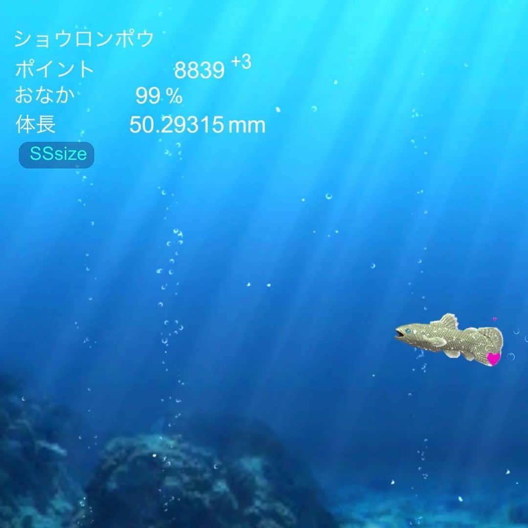 横峰沙弥香さんのインスタグラム写真 - (横峰沙弥香Instagram)「私の入院中、まめは(アプリで)ペットを飼い始めていた シーラカンスの「小籠包」と クラゲの「ホアキン」です  #思わず抱きしめた #やり場のない想い #バーチャルペット #シーラカンス #まめちゃん #ゆめこ #絵日記 #イラスト #procreateapp #ipadpro #applepencil   まだお仕事に手をつける体力はないのですが あまりに何もしないと本当に手が動かなくなるので 手当たり次第に晩御飯のおかずの絵やらなんやら描いたりしてます iPadならお布団でも描けるところが嬉しい☺️」4月24日 9時08分 - sayakayokomine