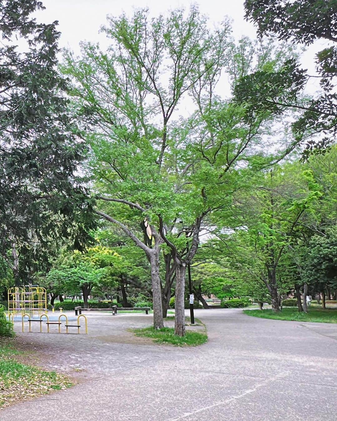 松浦有希さんのインスタグラム写真 - (松浦有希Instagram)「森の中からSNS更新。 結構寒い😨 #清澄庭園」4月24日 10時04分 - 12bambi12_yuki_matsuura
