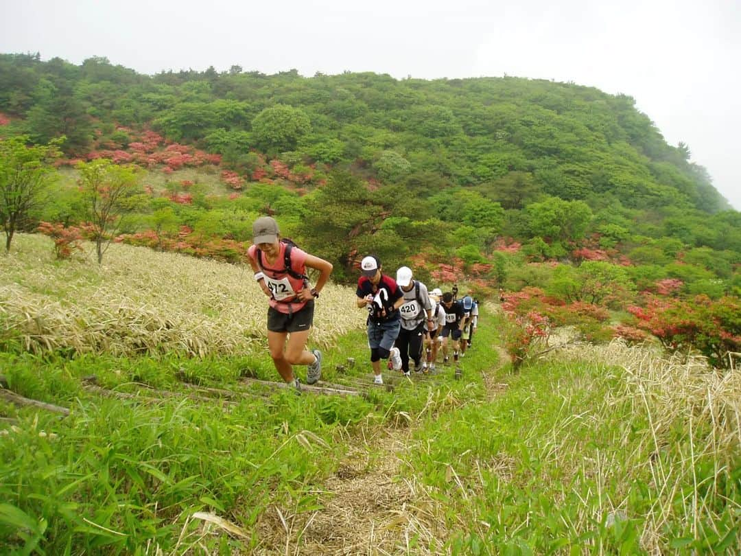 鏑木毅さんのインスタグラム写真 - (鏑木毅Instagram)「#赤城山トレイルランニングレース 2023 赤城山トレイルランニングレースがついに生まれ変わって復活します。 15年前、国内のトレ イルランニング 草創期に そのフィールドの良さから 人気を博しつつも 8年前に 惜しまれつつ 幕を閉じたこの大会がついに新しいかたちで 戻ってきました。 コースも最も理想に近い LINE を辿る 設定 にすることができました。 真夏の暑い時期 ですが 赤城山 夏祭りのような 雰囲気の大会になると思います。 私のふるさとである この山を是非 多くの方に楽しんでいただければと思います。※ 写真は過去の大会のものですが、 今とはまた違う温かみをどこか感じます。 エントリー→ https://maebashi-sportsnavi.jp/event/487/ 【カテゴリー】 50km定員200名 25km定員300名 キッズトレラン3km #トレイルランニング #トレラン #トレイル #マラソン #赤城山 #前橋 #TrailRunning #Trail #Running #Marathon #gontex」4月24日 10時30分 - tsuyoshikaburaki