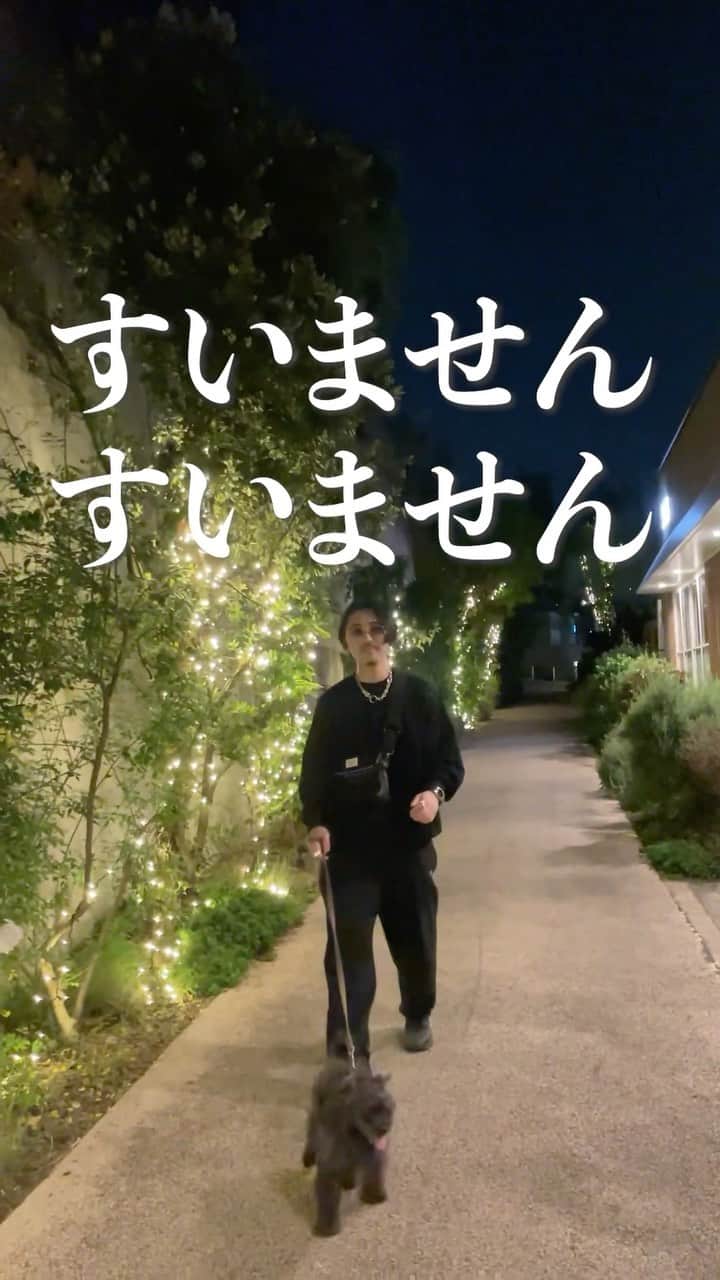 なかむのインスタグラム：「一糸纏わぬ犬のコーディネートを聞いてくる男 #ストリートスナップ #ファッション #犬 #margiela #hermes #dog」