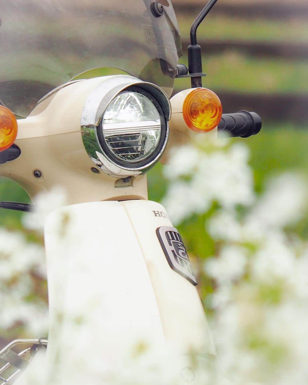 Honda 本田技研工業(株)さんのインスタグラム写真 - (Honda 本田技研工業(株)Instagram)「ずっと眺めていたくなる、ほっこりする一枚を投稿していただきました😃 手前に写り込んだ花が、カブの存在感を引き立てています👏 . 「花大根💠」 Photo by @3urahisayan . #MeandHonda #Honda #バイク #bike #HondaBike #スーパーカブ #SuperCub #写真 #photo #ファインダー越しの私の世界 . 本アカウントでは、「 #MeandHonda 」をつけてInstagramに投稿された皆さんの写真を紹介させていただきます。 Honda製品を取り入れた作品はもちろん、製品が写っていない作品も大歓迎です！ . 思い出の写真や自宅付近で撮影された写真など、たくさんのご投稿をお待ちしています。」4月24日 11時00分 - hondajp