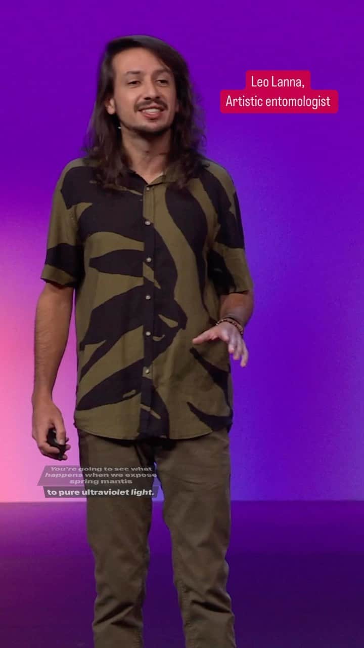 TED Talksのインスタグラム：「What can be found in the nights of the Amazon rainforest? Artistic entomologist @_LeoLanna and designer @LvcasFiat introduce us to the shapeshifting wonder of a creature they’ve fallen in love with: the praying mantis.   Learn more about the incredible diversity in this natural kingdom, and how we can better understand and approach conservation with art and technology. Visit the link in our bio to watch the full TED Talk.」