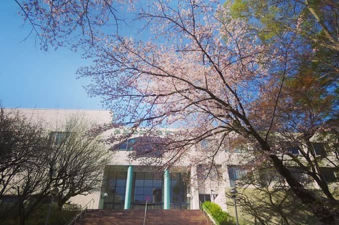 Soka Universityさんのインスタグラム写真 - (Soka UniversityInstagram)「Campus Seasonal Photos April ① 丹木の歳時記　卯月(一) #discoversoka #sodaigram #sodaipictures #sodaiphotos #sokauniversity #創価大学 #hachioji #八王子 #tokyo #東京 #university #大学 #campus #キャンパス #students #学生 #fourseasons #四季 #nature #自然 #spring #春 #environment #環境 #environmentfriendly #環境に優しい」4月24日 11時12分 - sokauniversity