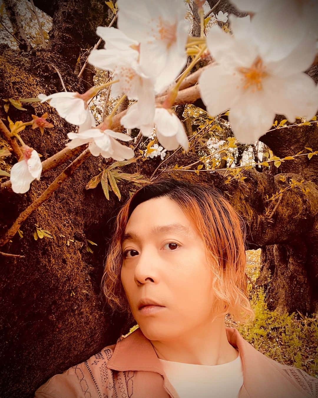 堂本剛さんのインスタグラム写真 - (堂本剛Instagram)「#ENDRECHERI」4月24日 12時00分 - tsuyoshi.d.endrecheri.24h.funk
