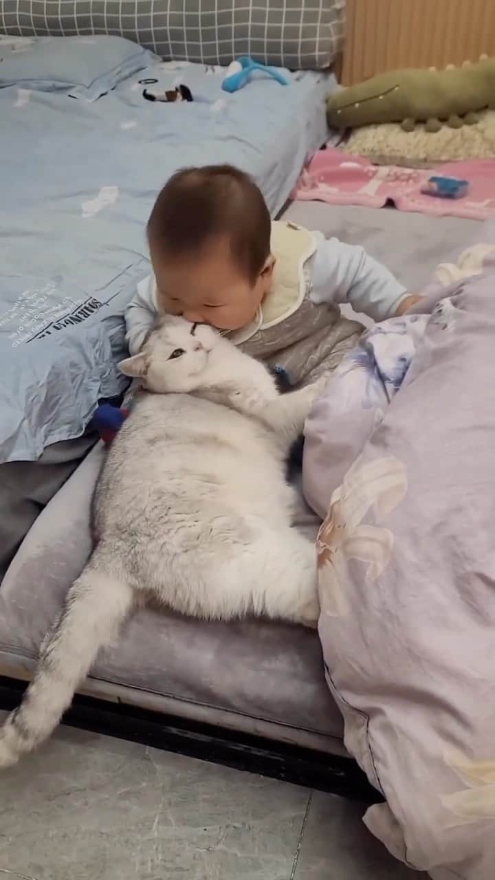 のインスタグラム：「Cute? 🥺❤️  If you like it pls support with ❤️  Credit: unknown (*read note below)  ** For all crediting issues and removals pls 𝐄𝐦𝐚𝐢𝐥 𝐮𝐬 ☺️  𝐍𝐨𝐭𝐞: we don’t own this video/pics, all rights go to their respective owners. If owner is not provided, tagged (meaning we couldn’t find who is the owner), 𝐩𝐥𝐬 𝐄𝐦𝐚𝐢𝐥 𝐮𝐬 with 𝐬𝐮𝐛𝐣𝐞𝐜𝐭 “𝐂𝐫𝐞𝐝𝐢𝐭 𝐈𝐬𝐬𝐮𝐞𝐬” and 𝐨𝐰𝐧𝐞𝐫 𝐰𝐢𝐥𝐥 𝐛𝐞 𝐭𝐚𝐠𝐠𝐞𝐝 𝐬𝐡𝐨𝐫𝐭𝐥𝐲 𝐚𝐟𝐭𝐞𝐫.  We have been building this community for over 6 years, but 𝐞𝐯𝐞𝐫𝐲 𝐫𝐞𝐩𝐨𝐫𝐭 𝐜𝐨𝐮𝐥𝐝 𝐠𝐞𝐭 𝐨𝐮𝐫 𝐩𝐚𝐠𝐞 𝐝𝐞𝐥𝐞𝐭𝐞𝐝, pls email us first. **」
