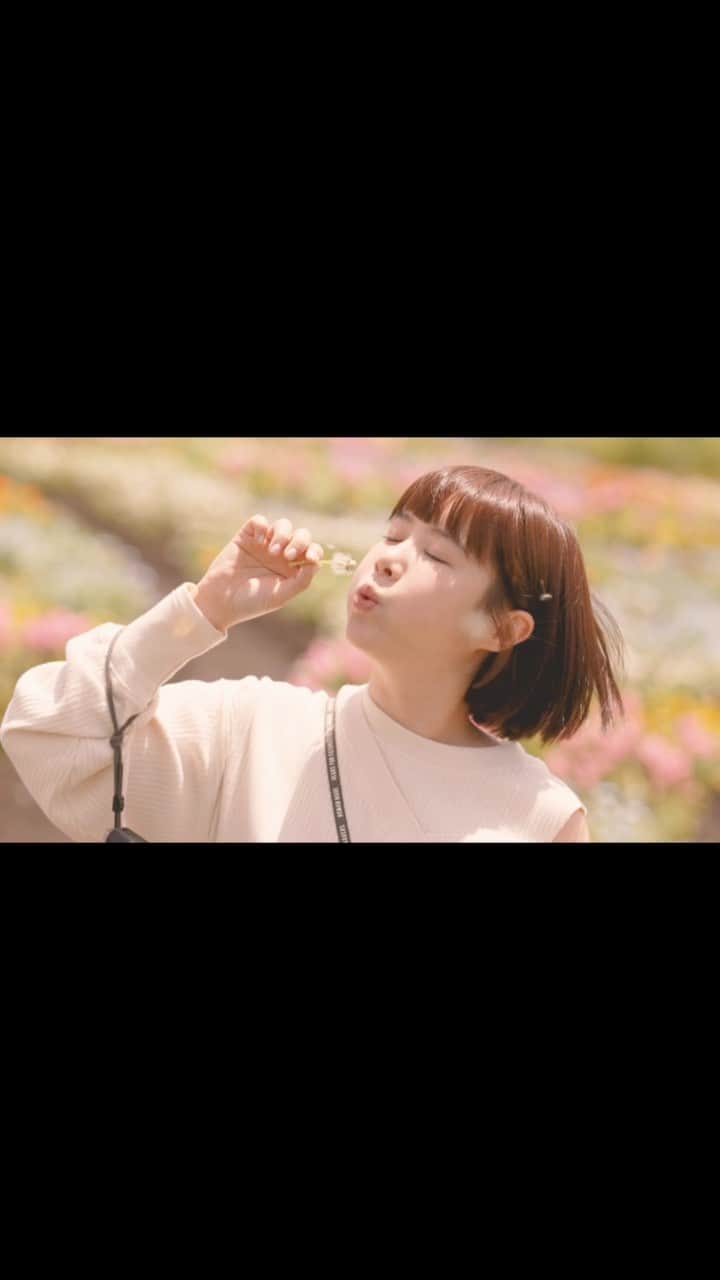 リー・ジャーインのインスタグラム：「蒲公英少女（？） @junoohknow   #九州 #福岡 #日本 #久住花公園  #時刻影像工作室」