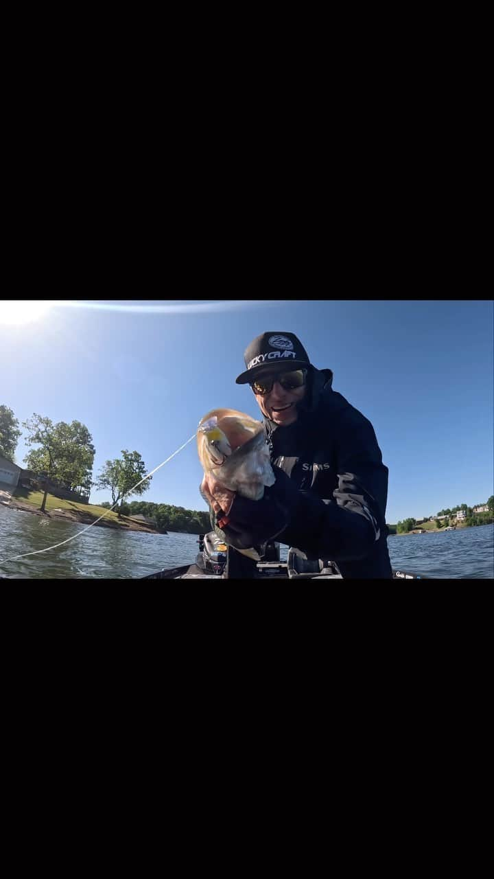 Brent Ehrlerのインスタグラム：「The new @luckycraftusa 1.0 down the gullet!! 🎣 🐖#gopro」