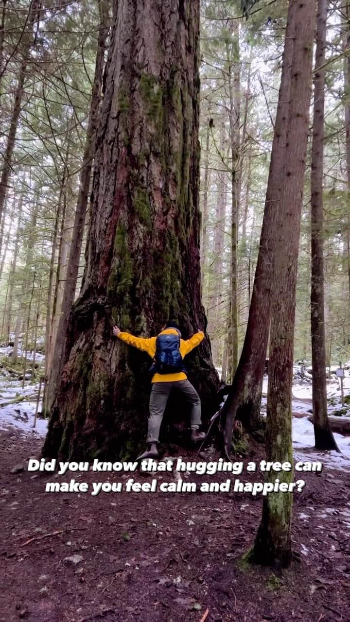 グレゴリーのインスタグラム：「Did you know that hugging a tree can make you feel calm and happier? Just relaying facts here, you're welcome.   Now go hug a tree for us. 🤗   Shop his pack: Miko 20 (available in plus size)  VC: Gregory Ambassador Nathan Menezes @nomadicnaynay」