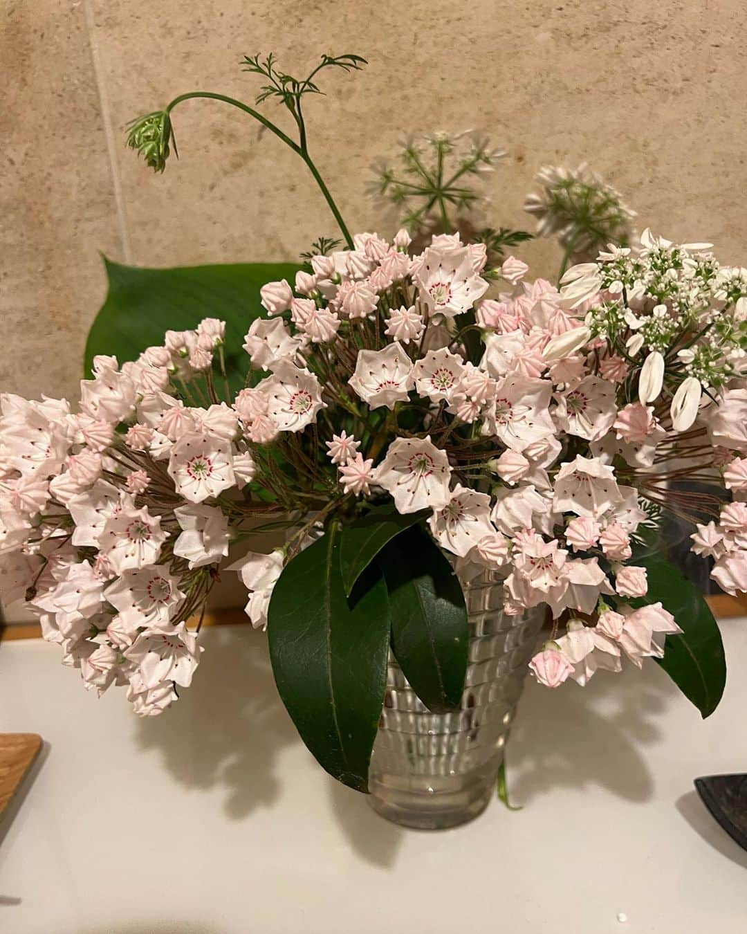 大竹しのぶさんのインスタグラム写真 - (大竹しのぶInstagram)「一回寒さでだめにしたのにまた出てきてくれた新芽🌱 留守中息子にお水を頼んでいた三つのグリーン、無事でした😊  クリスマスローズは見事にドライフラワーになっていた（これは頼んでいなかった😰） 今日は、買い物に行けなかったので急遽庭のお花を母に飾りました。  あっ、糠床も大丈夫だった。 美味しくなってた。 なぜだ😅 #GYPSY #大竹しのぶ」5月9日 0時01分 - shinobu717_official